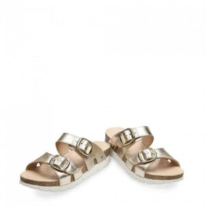 Shirley B10 - Image 3