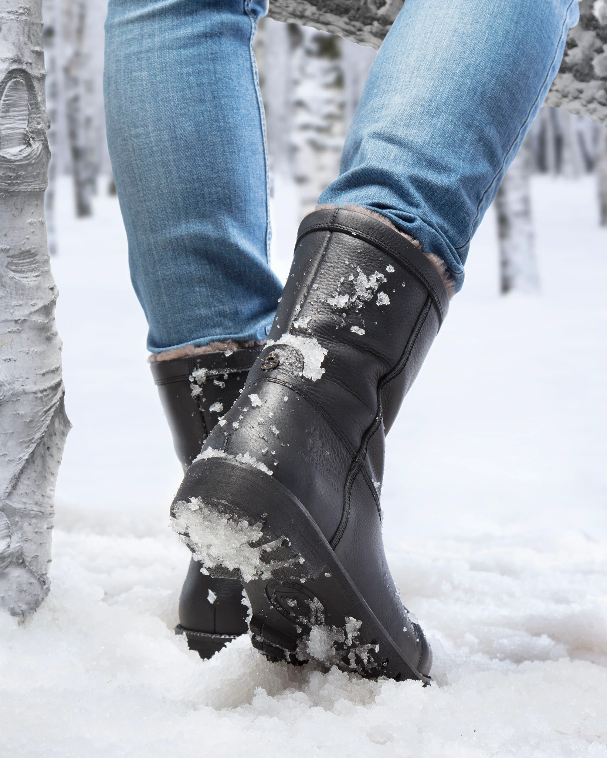 Fedro Igloo C3 - Image 4